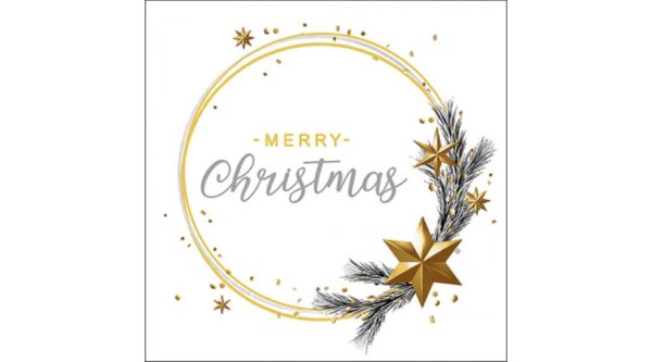 AMB.33316511 Wishing Ring White papírszalvéta 33x33cm