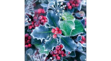 AMB.33316965 Frozen Holly papírszalvéta 33x33cm