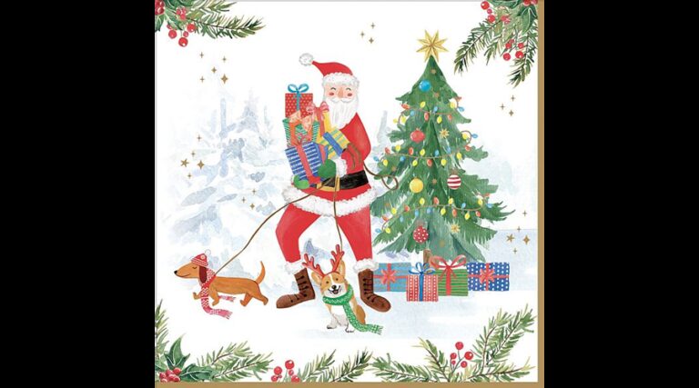 R2S.414JOYF Papírszalvéta 33x33cm