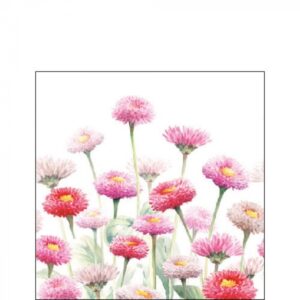 AMB.12517020 Painted Bellis papírszalvéta 25x25cm