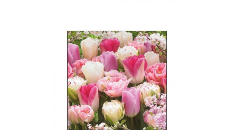 AMB.12517055 Pink Tulips papírszalvéta 25x25cm