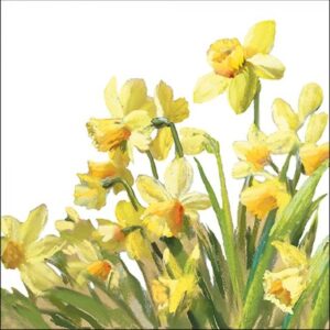 AMB.13316195 Golden Daffodils papírszalvéta 33x33cm
