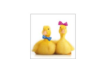 AMB.12516170 Little Ducks papírszalvéta 25x25cm