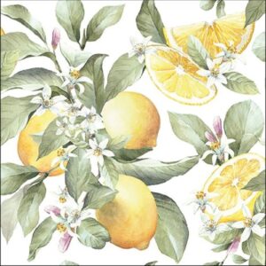 AMB.13316065 Limoni papírszalvéta 33x33cm