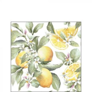 AMB.12516065 Limoni papírszalvéta 25x25cm