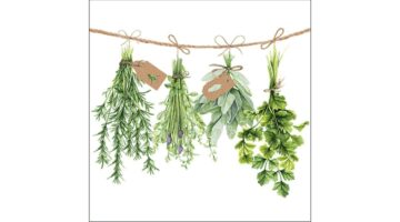 AMB.13316285 Fresh Herbs papírszalvéta 33x33cm