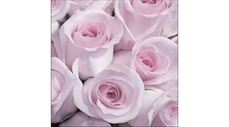 AMB.13316351 Abby Vintage papírszalvéta 33x33cm