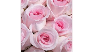 AMB.13316350 Abby papírszalvéta 33x33cm