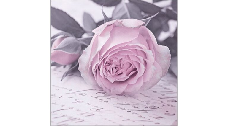 AMB.13316341 Mary Vintage papírszalvéta 33x33cm