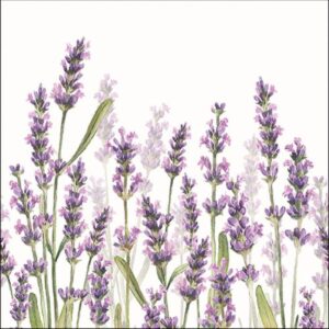 AMB.13315985 Lavender Shade White papírszalvéta 33x33cm