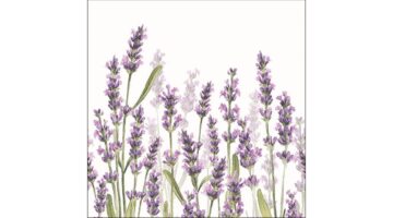 AMB.13315985 Lavender Shade White papírszalvéta 33x33cm