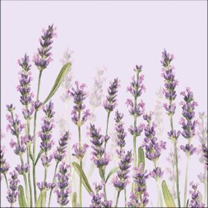 AMB.13315986 Lavender Shade lila papírszalvéta 33x33cm