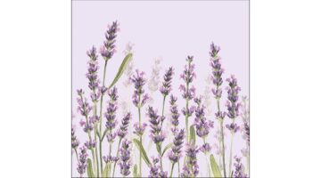 AMB.13315986 Lavender Shade lila papírszalvéta 33x33cm