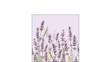 AMB.12515986 Lavender Shades lila papírszalvéta 25x25cm