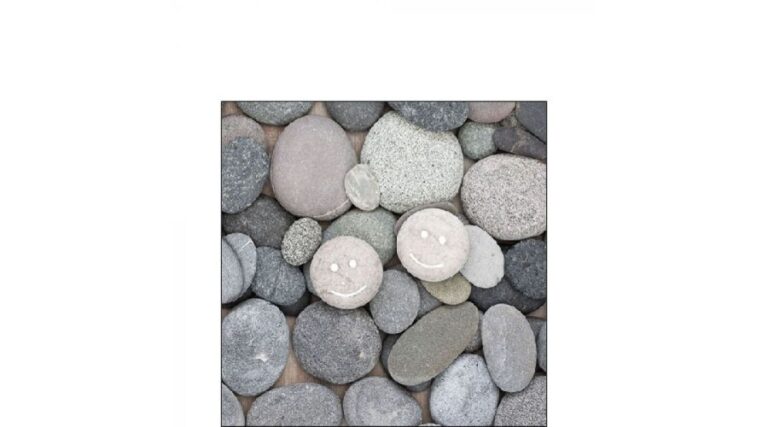 AMB.12516080 Smile papírszalvéta 25x25cm