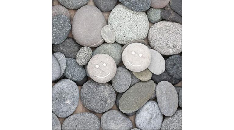 AMB.13316080 Smile papírszalvéta 33x33cm