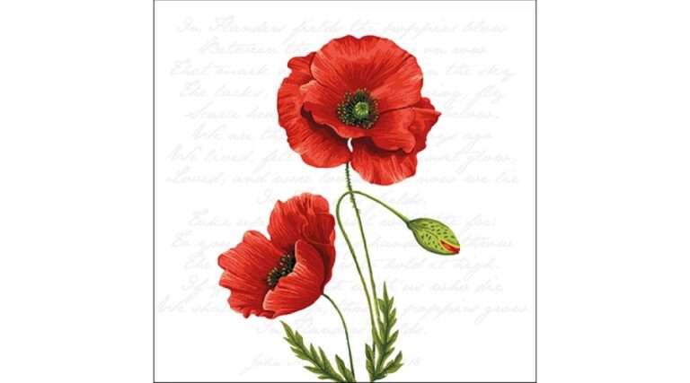 AMB.13316120 Proud Poppy papírszalvéta 33x33cm