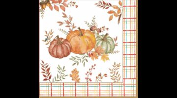 R2S.414HARV Papírszalvéta 33x33cm