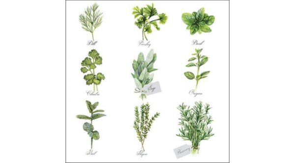 AMB.13318560 Herb selection papírszalvéta 33x33cm