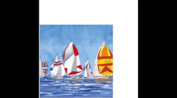 PPD.B125002625 Regatta papírszalvéta 25x25cm