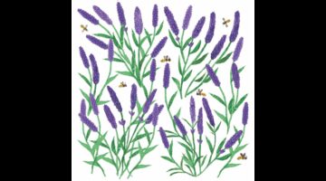 PPD.C133002560 Tracey's Lavendula papírszalvéta 33x33cm