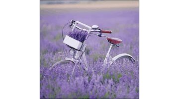 AMB.13317485 Bike In Lavender Field papírszalvéta 33x33cm