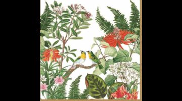 R2S.414EXCA Papírszalvéta 33x33cm