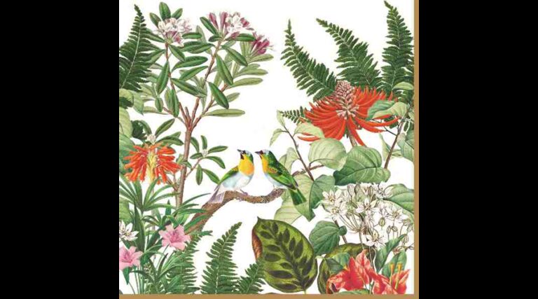 R2S.414EXCA Papírszalvéta 33x33cm