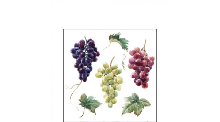 AMB.12517240 Wine grapes papírszalvéta 25x25cm