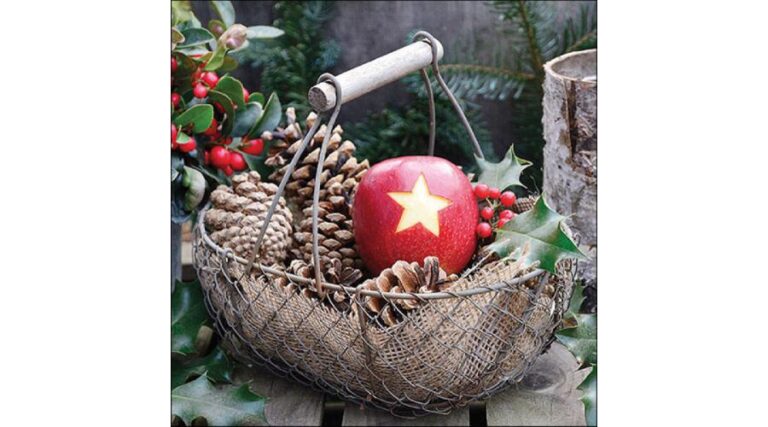 AMB.33317825 Star apple papírszalvéta 33x33cm