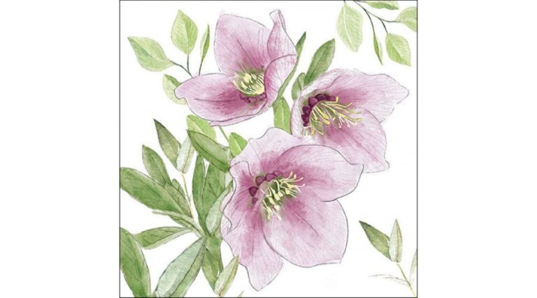 AMB.33318015 Classic helleborus papírszalvéta 33x33cm