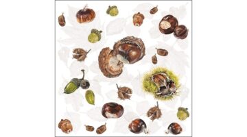 AMB.13314505 Chestnuts papírszalvéta 33x33cm