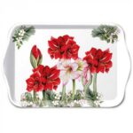 AMB.33720275 Blooming amaryllis white műanyag kistálca 13x21cm