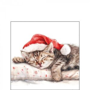 AMB.32520080 Dreaming about X-Mas papírszalvéta 25x25cm