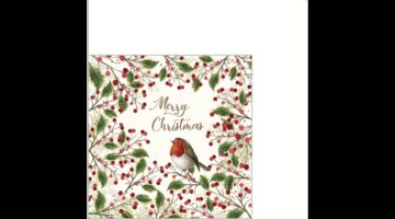 PPD.B325002804 Merry Bird papírszalvéta 25x25cm