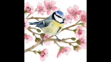 PPD.C133002995 Oiseau Printemps papírszalvéta 33x33cm