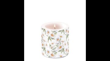 AMB.19219545 Beautiful daisies white átvilágítós gyertya 8x7