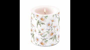 AMB.19319545 Beautiful daisies white átvilágítós gyertya 10x10cm