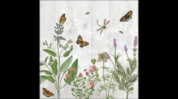 AMB.13319345 Herb Garden papírszalvéta 33x33cm