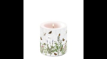 AMB.19219345 Herb Garden átvilágítós gyertya 8x7