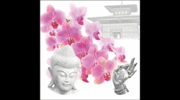 AMB.13319610 Orchids of Buddha papírszalvéta 33x33cm