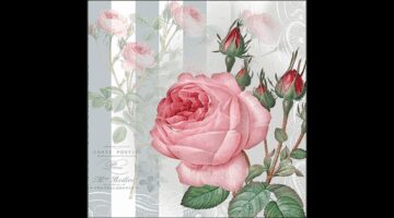 AMB.13319565 Yara papírszalvéta 33x33cm