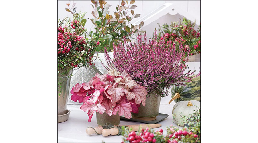 AMB.13319685 Heather terrace papírszalvéta 33x33cm