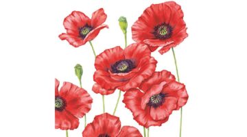 AMB.13308505 Romantic Poppy papírszalvéta 33x33cm