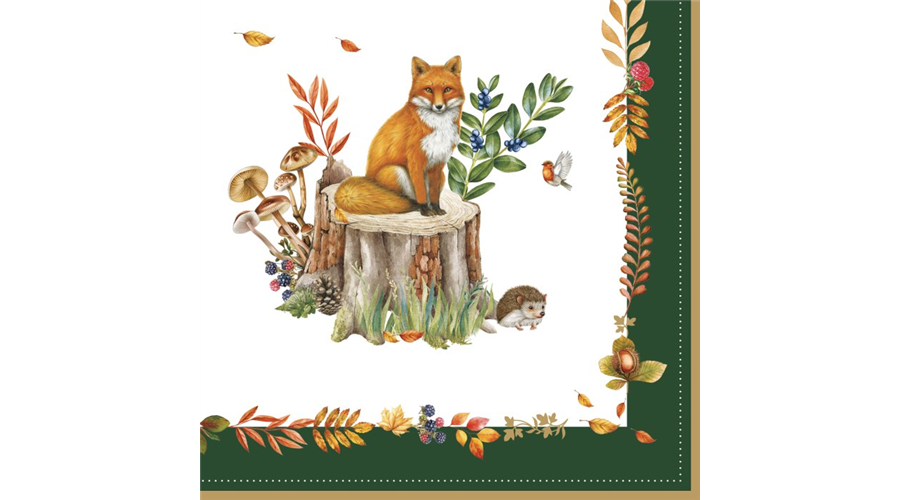 R2S.414FODR Papírszalvéta 33x33cm