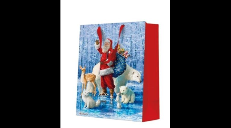 P.W.AGB2019303 Santa Claus With Animals papír ajándéktáska medium 20x25x10cm