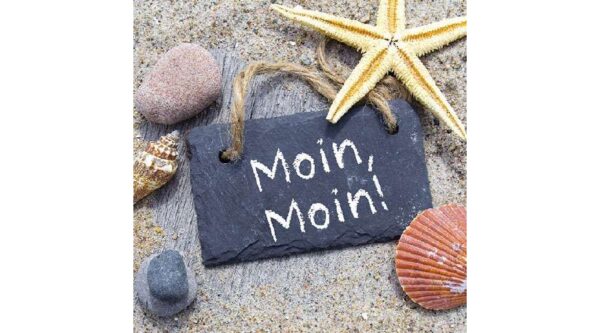 AMB.13309980 Moin Moin papírszalvéta 33x33cm