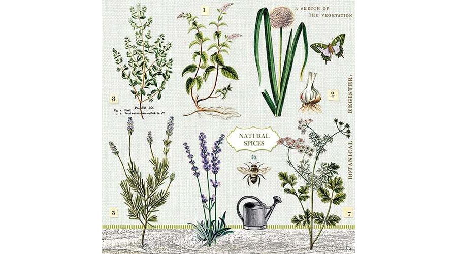 AMB.13311395 Herbs Garden papírszalvéta 33x33cm