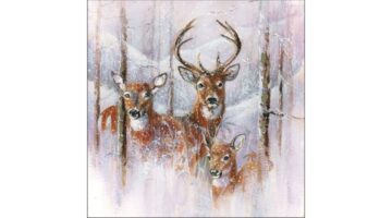 AMB.33315305 Wilderness Stag papírszalvéta 33x33cm
