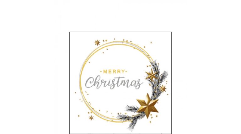 AMB.32516511 Wishing Ring White papírszalvéta 25x25cm